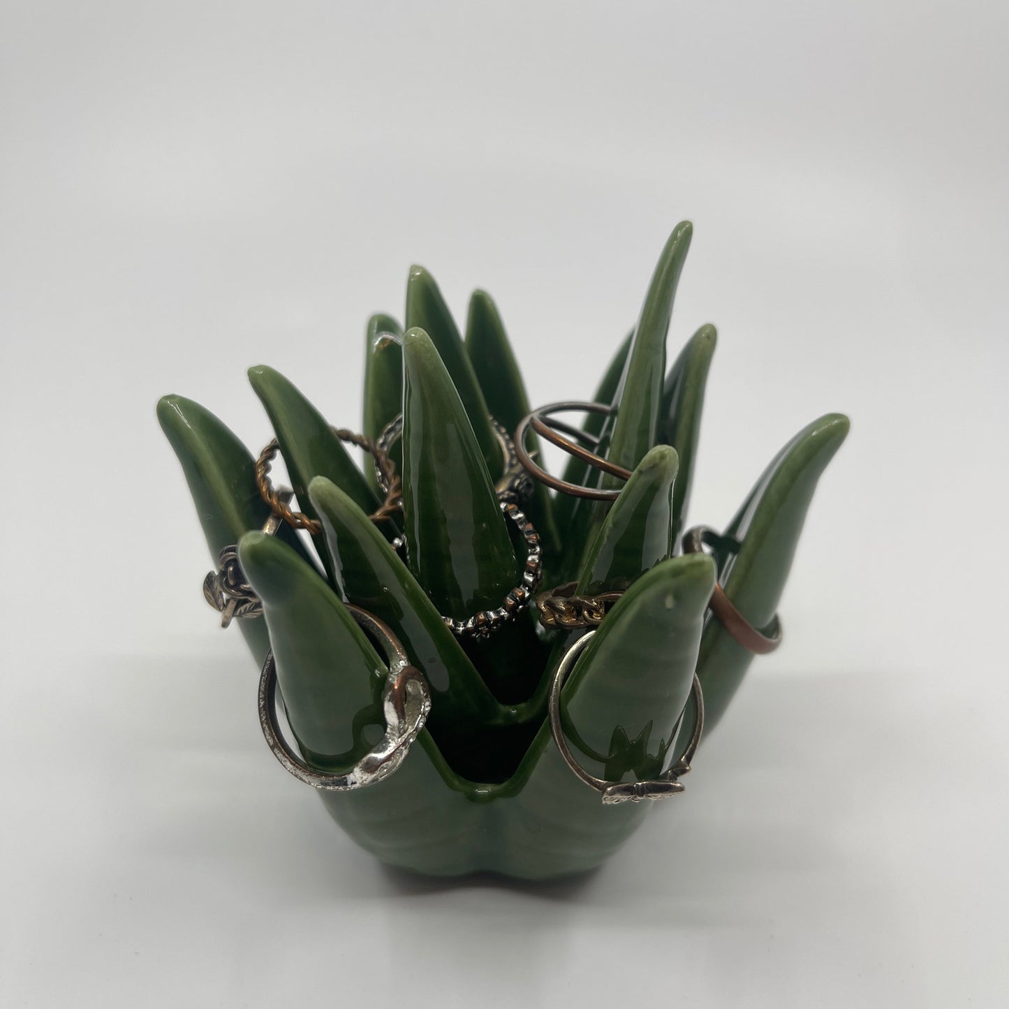 Aloe Plant Ceramic Ring Holder