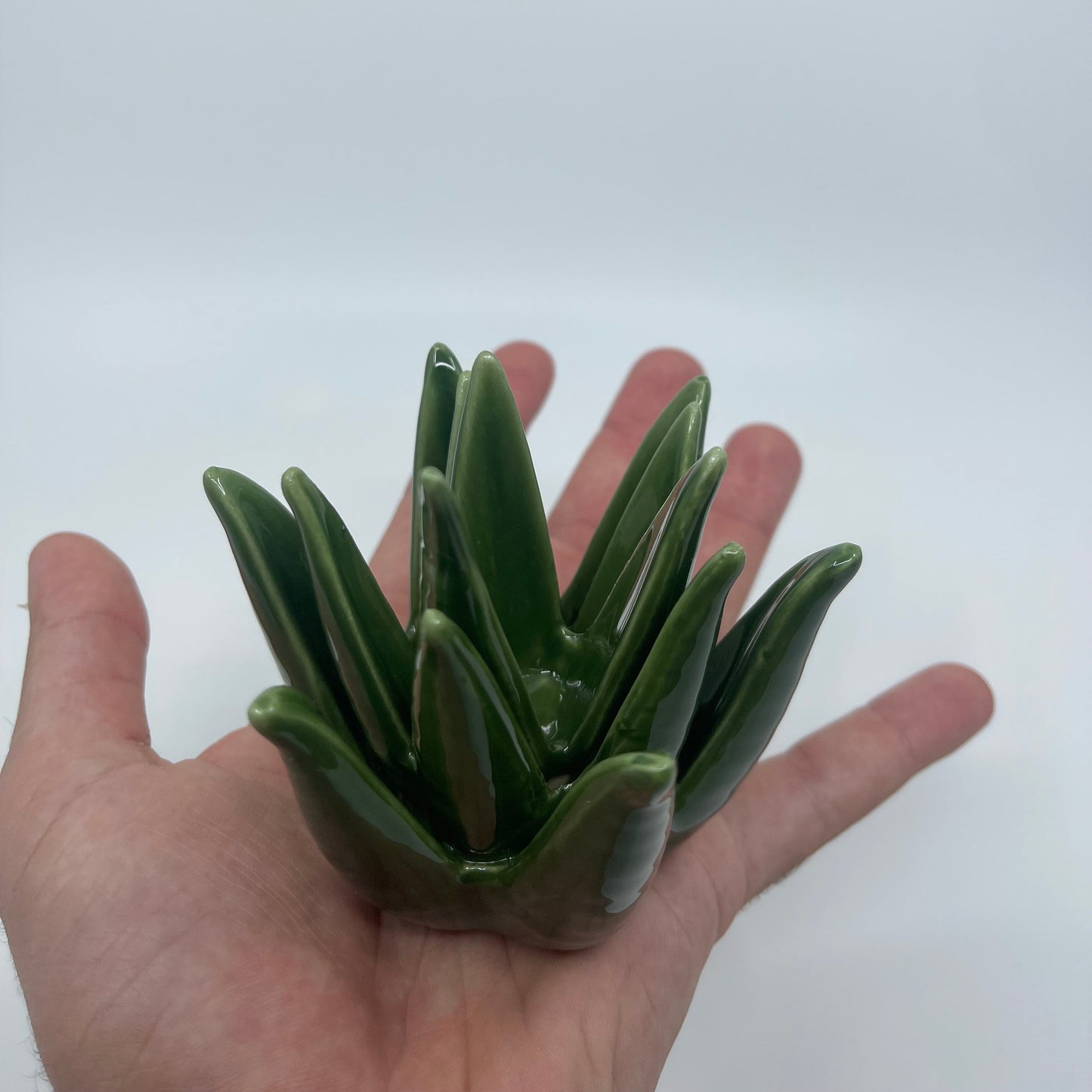 Aloe Plant Ceramic Ring Holder